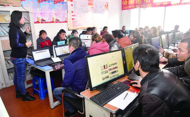 3.6万名职业农民投身乡村振兴 计算机技术培训铸就新时代“数字农人”